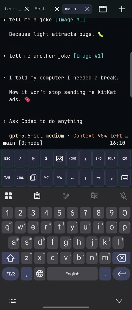 Terminal Spike running a remote coding session on Android